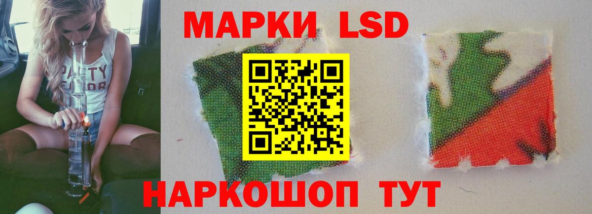 LSD-25 экстази кислота  Вход с VPN  Ставрополь  LSD-25 экстази  LSD-25 экстази кислота 