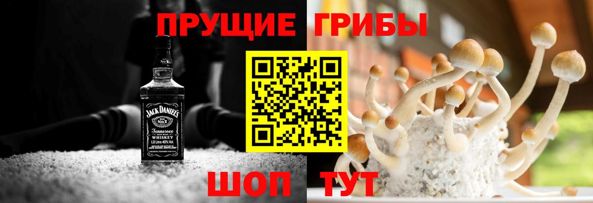 купить   Вход с VPN  Ставрополь  Галлюциногенные грибы Magic Shrooms 